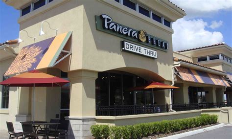 panera bread downtown orlando.